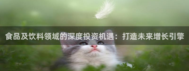 乐发传媒是不是正轨平台