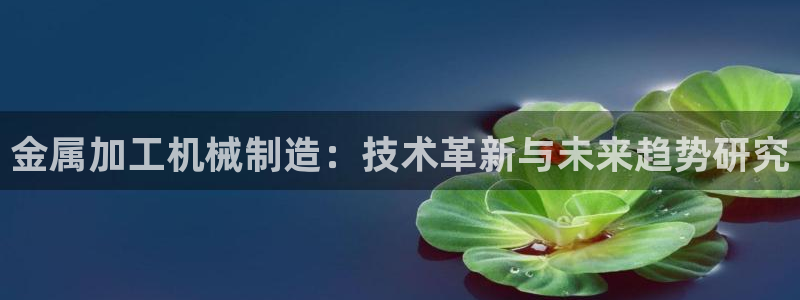 乐发i平台下载