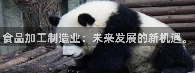 乐豪发官方娱乐平台