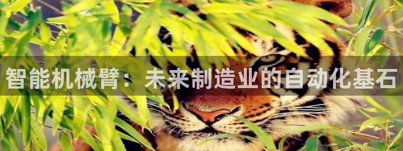 乐发平台出来的时间吗