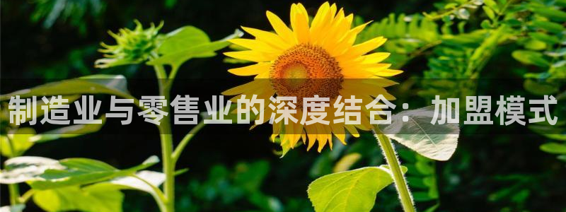 乐发是不是正规平台