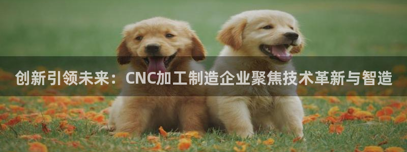 必发误乐黑平台
