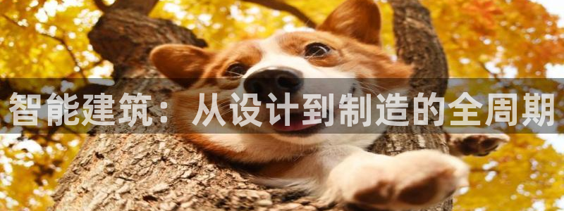 乐豪发娱乐官方平台