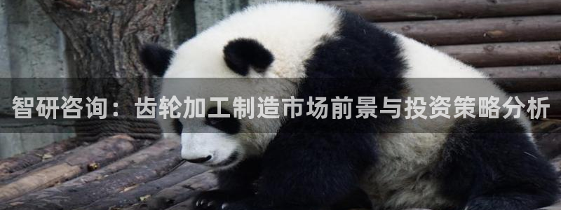 乐发彩票平台下载