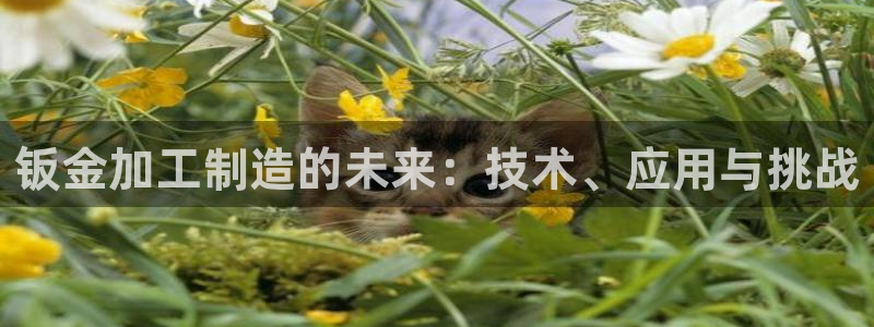 乐发快3大小单双平台