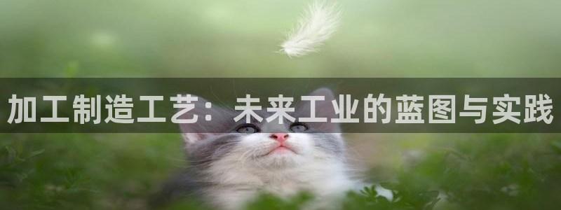 乐发彩票平台代理