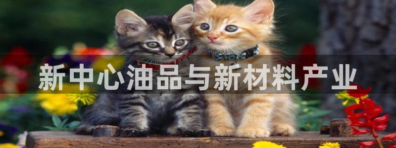 乐发 国际是不是黑平台