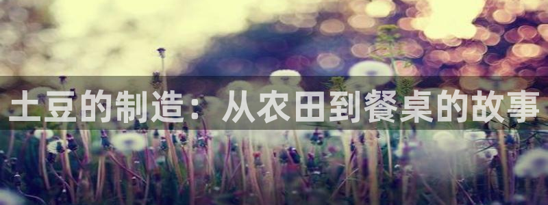 乐发宾果彩票平台