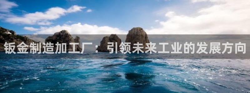 必发误乐黑平台