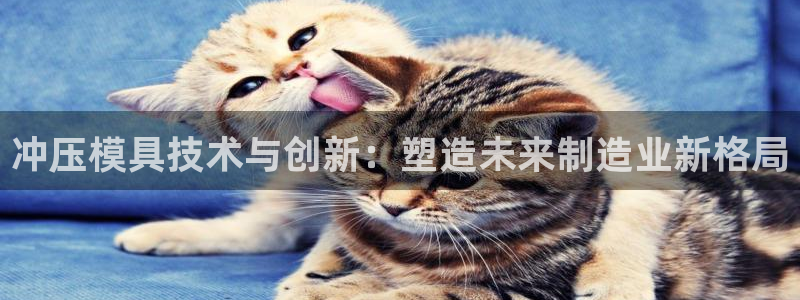 乐发彩票平台入口下载