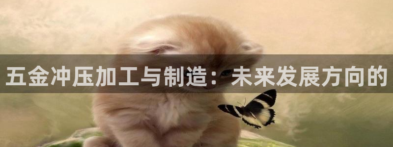 乐发IV_平台
