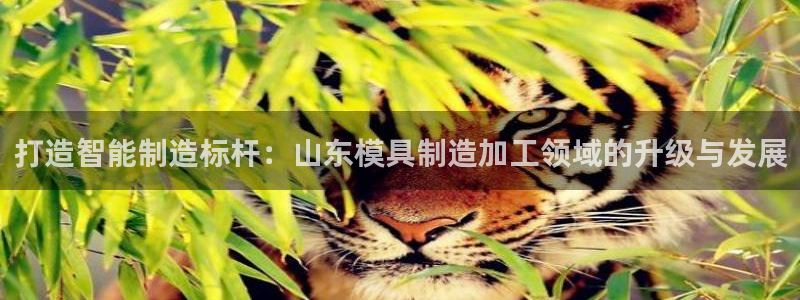 乐赚平台发圈app