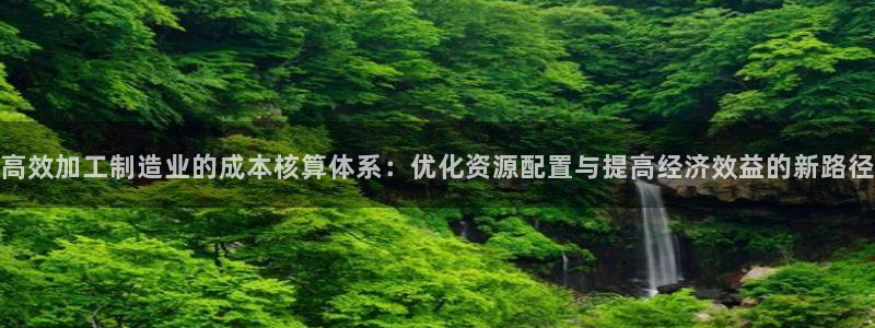 乐发VIII平台