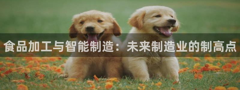 乐发lv是正规平台吗