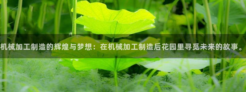 乐发体育平台怎么样知乎
