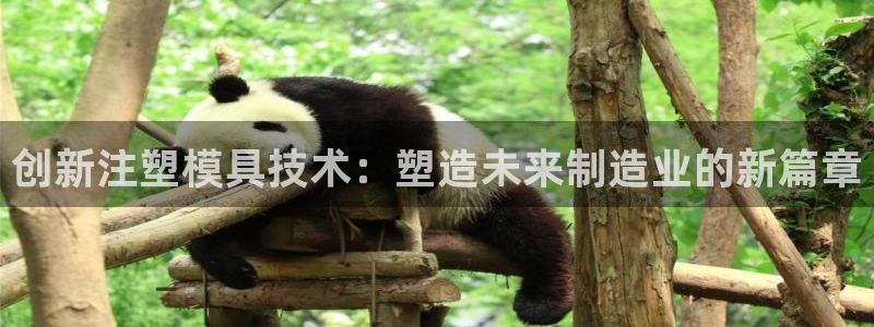 众乐发圈平台
