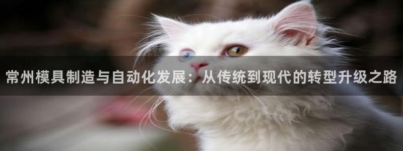 乐发平台邀请码全网最高