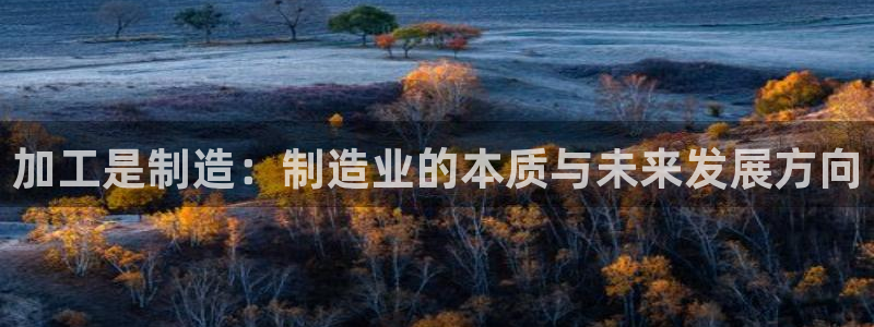 乐发国际平台