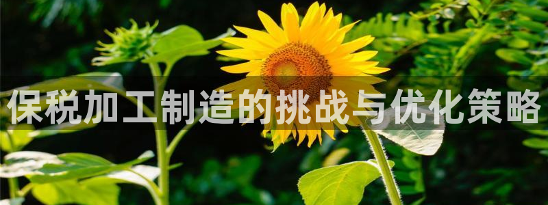 乐发发平台