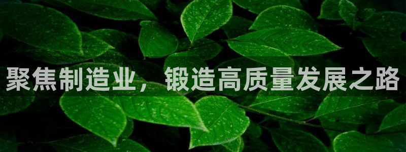 乐发平台怎么样知乎推荐