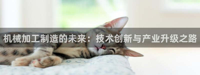 乐发平台怎么样知乎推荐