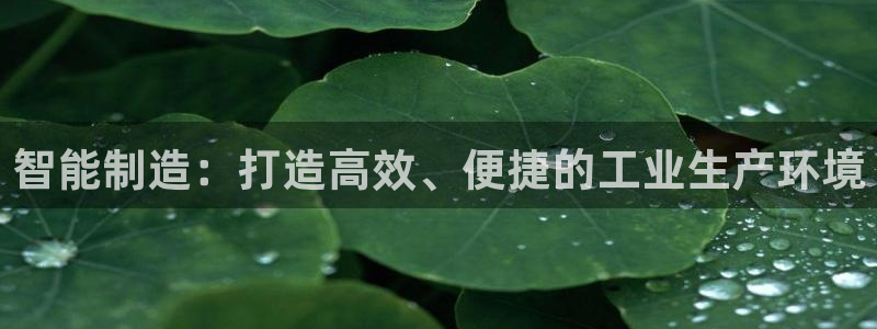 乐发平台不能提现