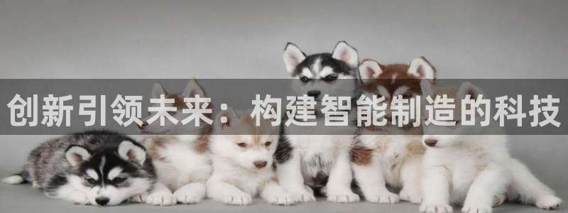 乐发彩票平台官网
