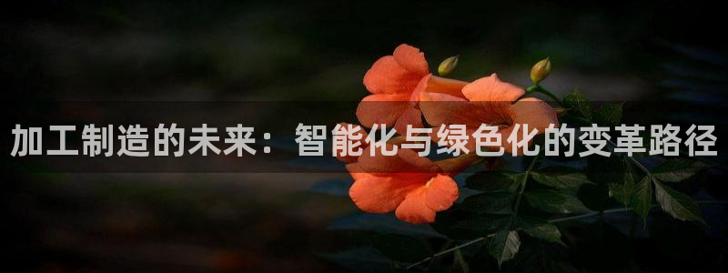 乐发lv这个平台怎么样