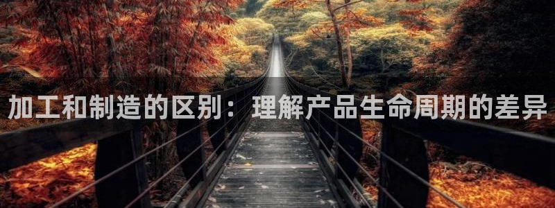 乐发旗下的平台有多少个