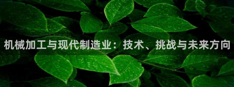 乐发彩票平台下载