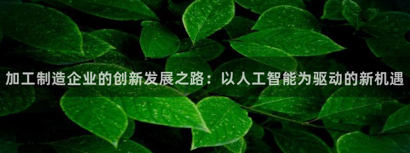 乐发国际平台怎么样