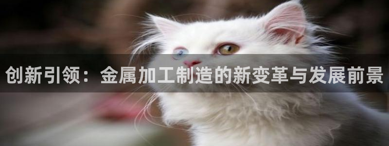 乐发平台是什么样的