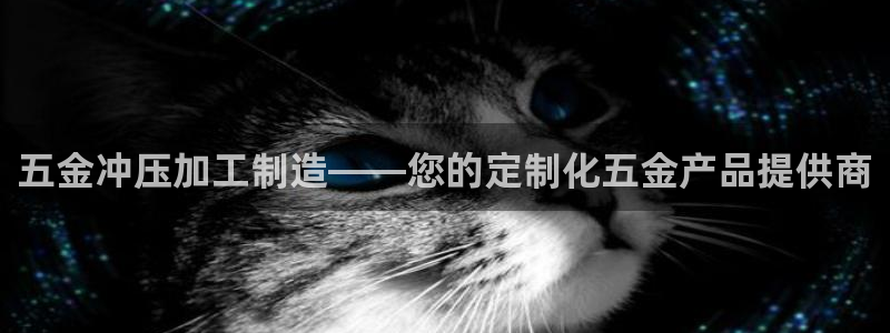 乐发登录平台