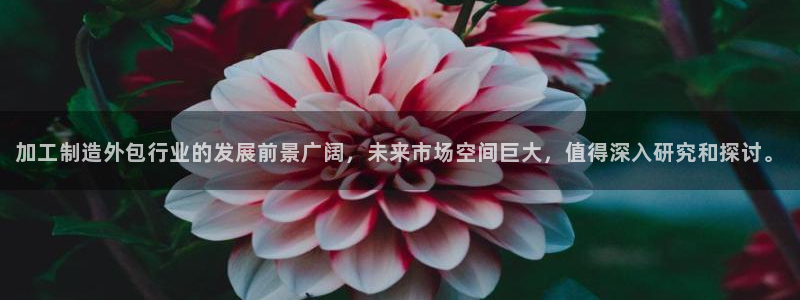 乐豪发真人平台