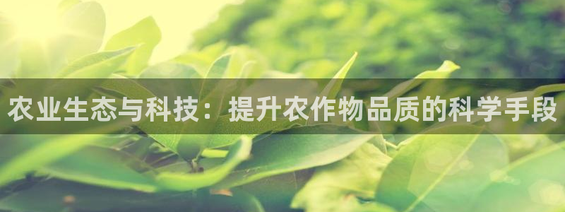 乐发大小单双平台