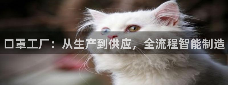 乐发平台app下载安装