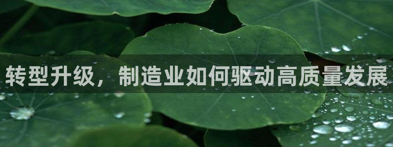 乐发彩票网平台带人玩的