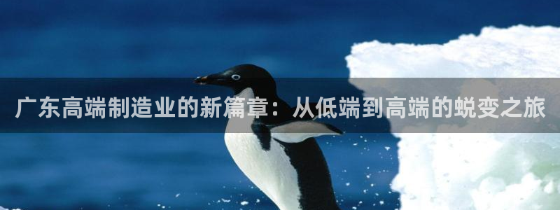 乐发彩票app平台