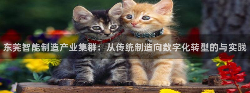 乐发平台黑钱