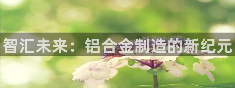 乐发体育平台官网下载