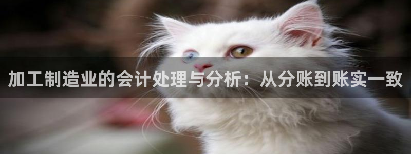 乐发彩票最新平台官网