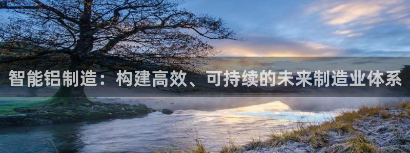 乐发平台不能提现