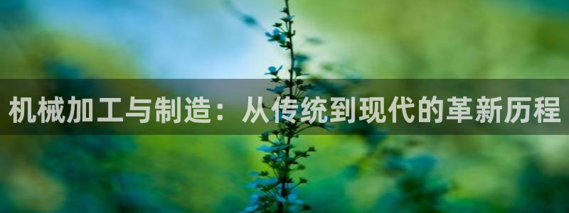 乐发彩票是什么平台