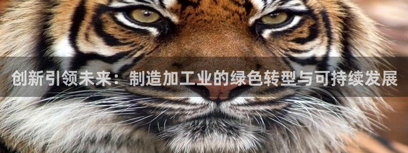 乐发iv平台