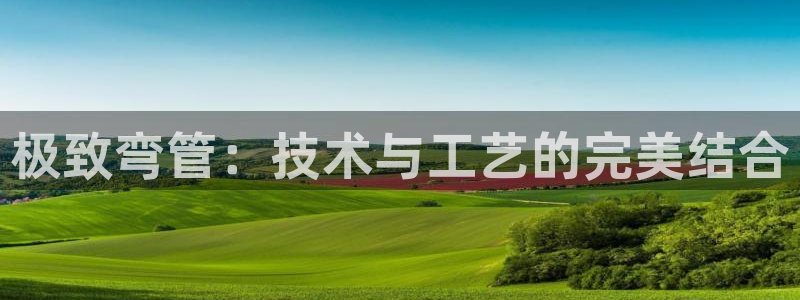 乐发邀请码平台有哪些