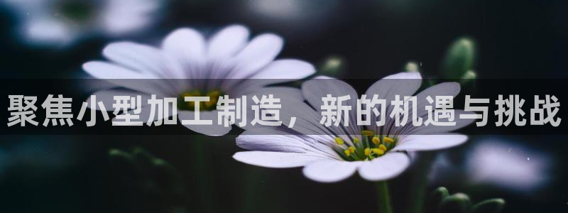 乐发平台出来的时间吗