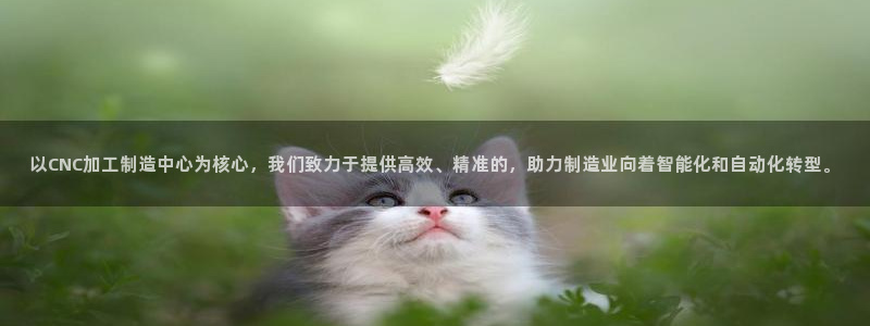 乐发 国际是不是黑平台