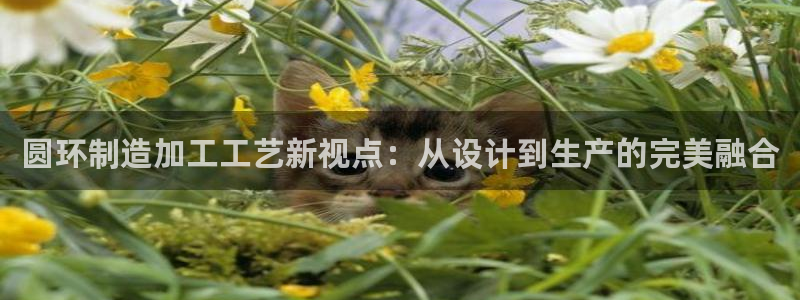 乐跑工资发平台还是卡里