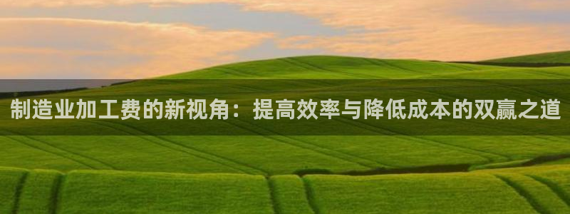 乐发v11平台怎样