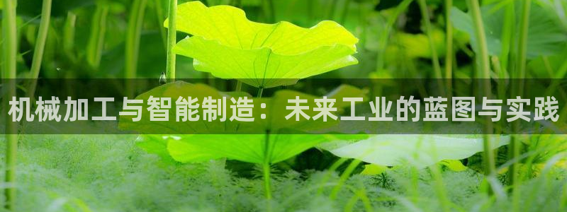 乐发II平台
